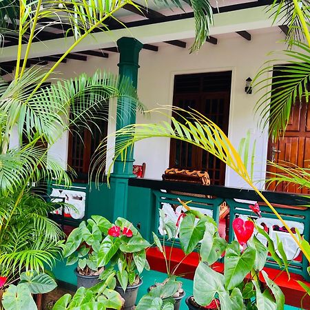 Sigiri Budget Homestay Sigiriya Exteriör bild