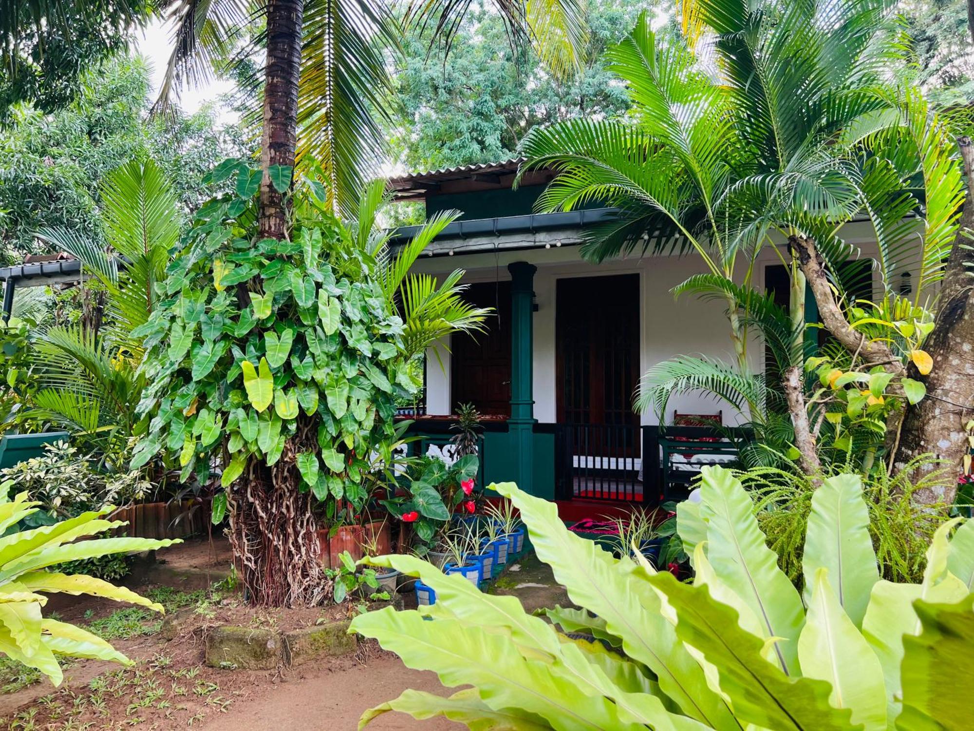 Sigiri Budget Homestay Sigiriya Exteriör bild